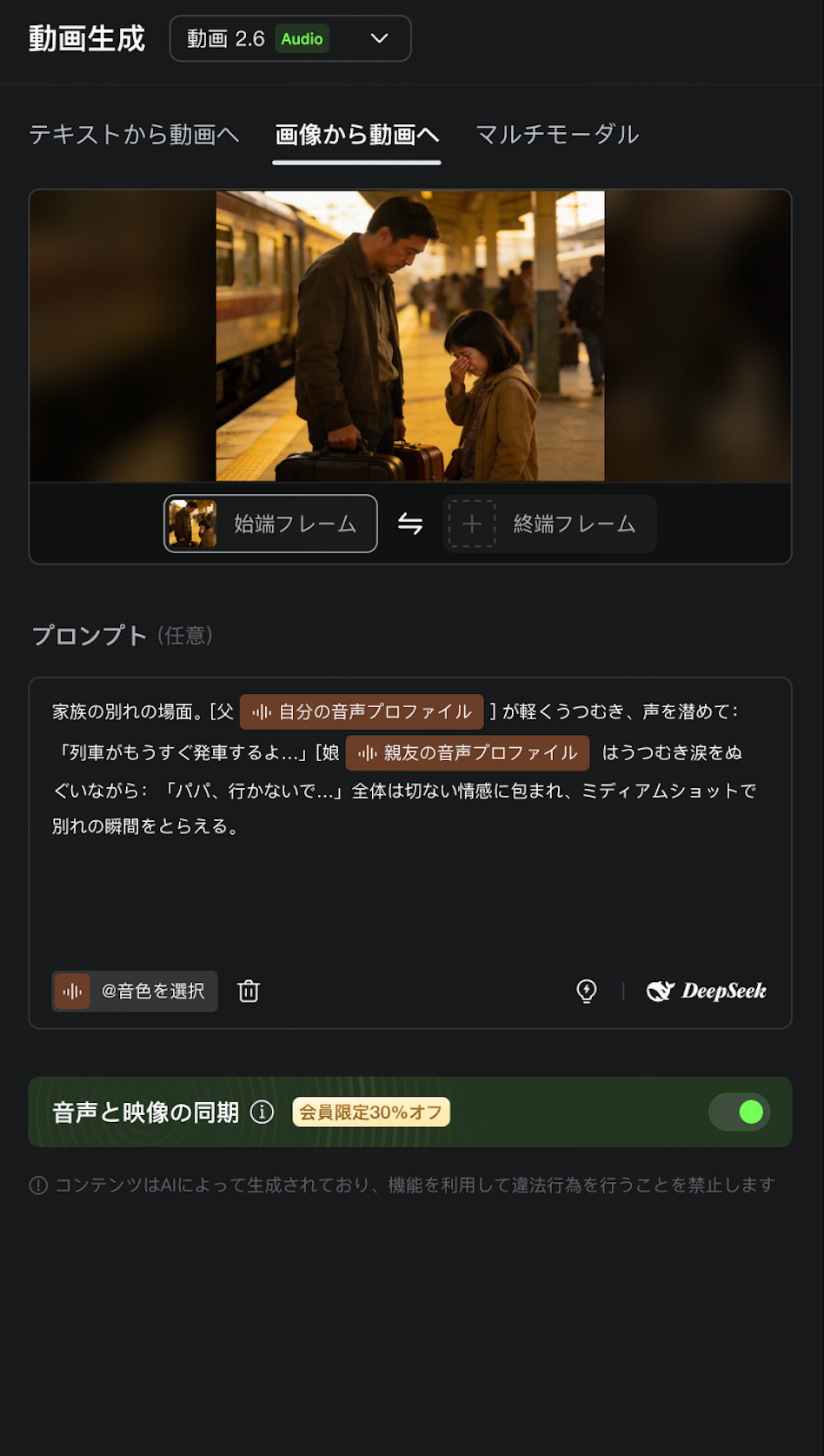 動画 2.6 機能マニュアル (14)